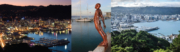 Night time and daytime scenes of Wellington city